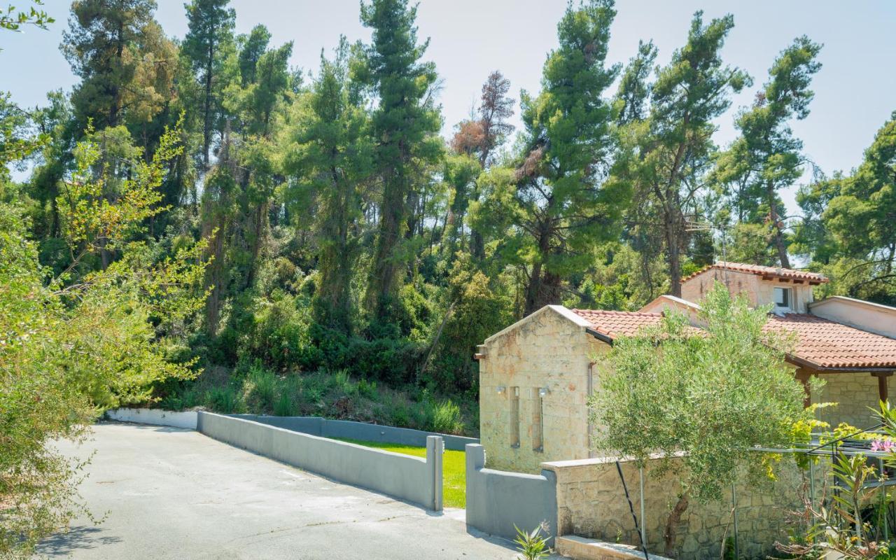 Villa Opali Kaszándra Kültér fotó